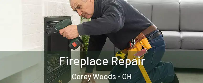 Fireplace Repair Corey Woods - OH