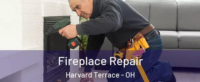 Fireplace Repair Harvard Terrace - OH