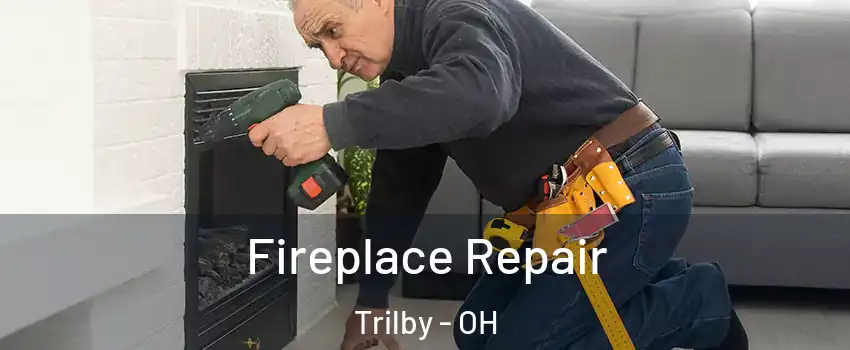 Fireplace Repair Trilby - OH
