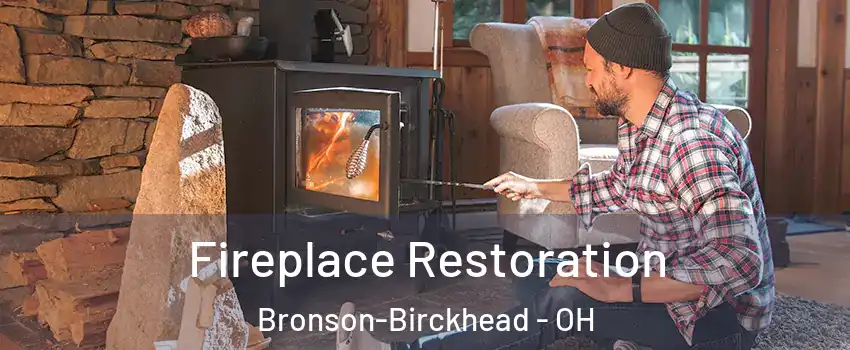 Fireplace Restoration Bronson-Birckhead - OH