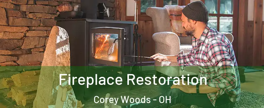 Fireplace Restoration Corey Woods - OH