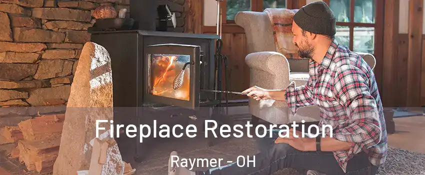 Fireplace Restoration Raymer - OH