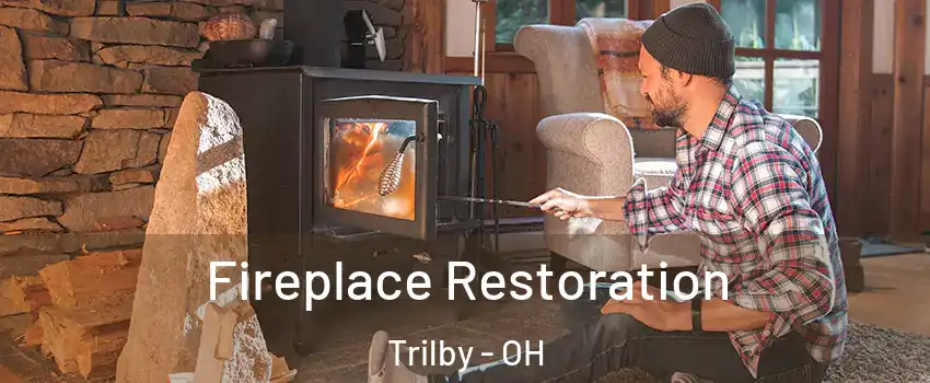 Fireplace Restoration Trilby - OH