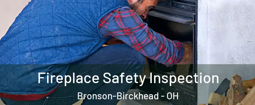 Fireplace Safety Inspection Bronson-Birckhead - OH