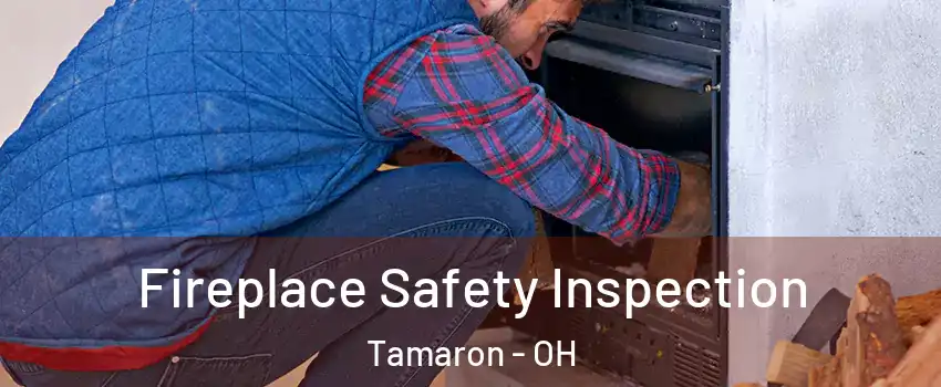 Fireplace Safety Inspection Tamaron - OH