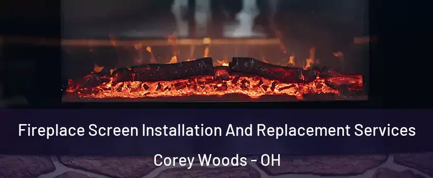 Fireplace Screen Installation And Replacement Services Corey Woods - OH