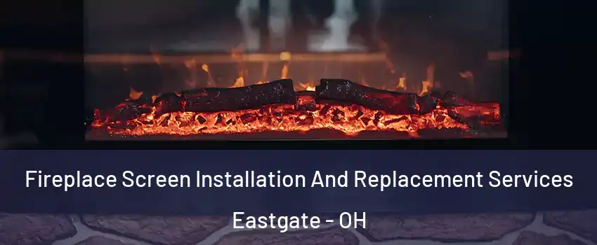 Fireplace Screen Installation And Replacement Services Eastgate - OH