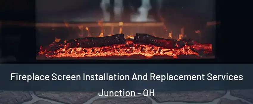 Fireplace Screen Installation And Replacement Services Junction - OH