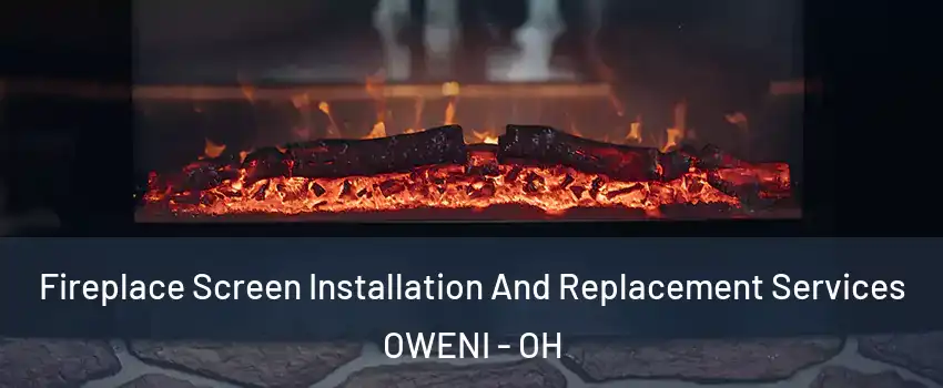 Fireplace Screen Installation And Replacement Services OWENI - OH