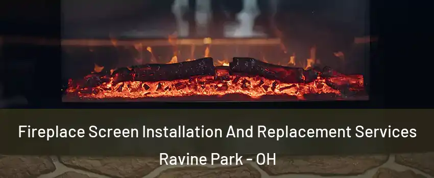 Fireplace Screen Installation And Replacement Services Ravine Park - OH