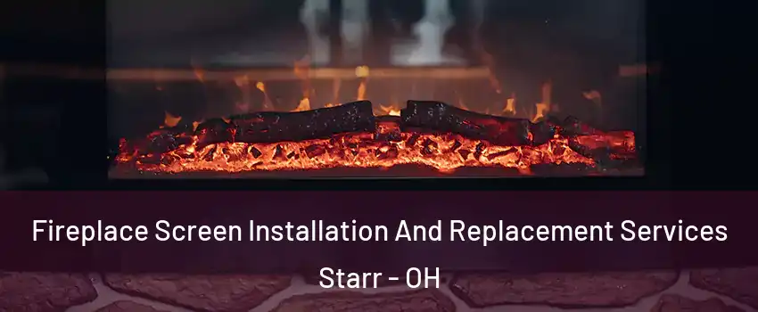 Fireplace Screen Installation And Replacement Services Starr - OH
