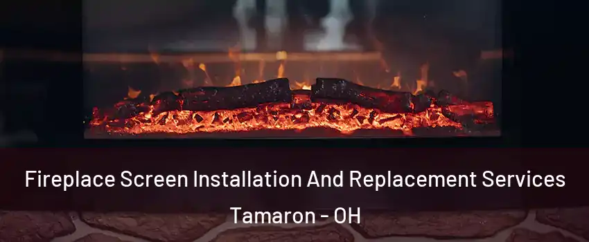 Fireplace Screen Installation And Replacement Services Tamaron - OH
