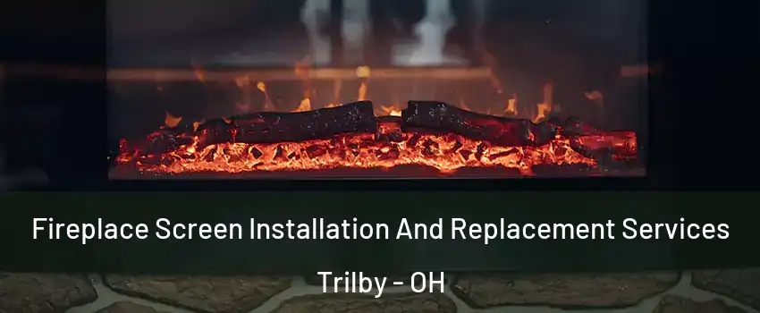 Fireplace Screen Installation And Replacement Services Trilby - OH