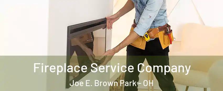Fireplace Service Company Joe E. Brown Park - OH
