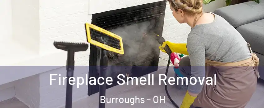 Fireplace Smell Removal Burroughs - OH