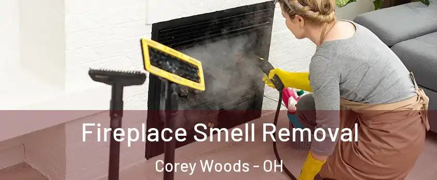Fireplace Smell Removal Corey Woods - OH