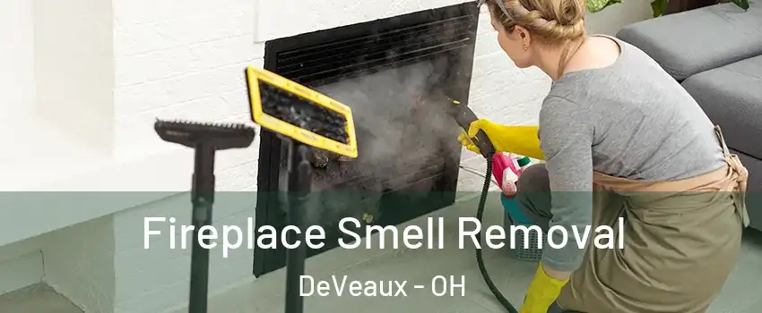Fireplace Smell Removal DeVeaux - OH