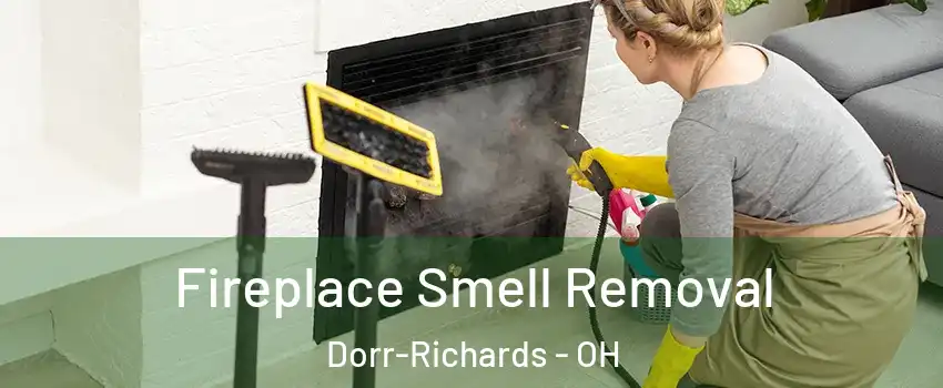 Fireplace Smell Removal Dorr-Richards - OH