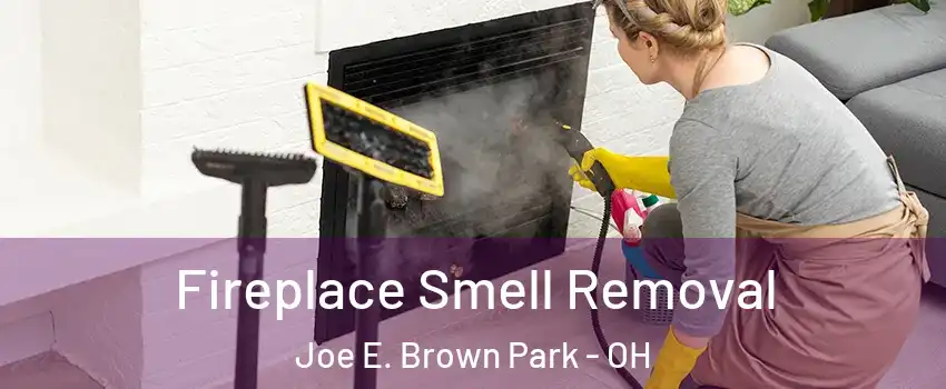 Fireplace Smell Removal Joe E. Brown Park - OH