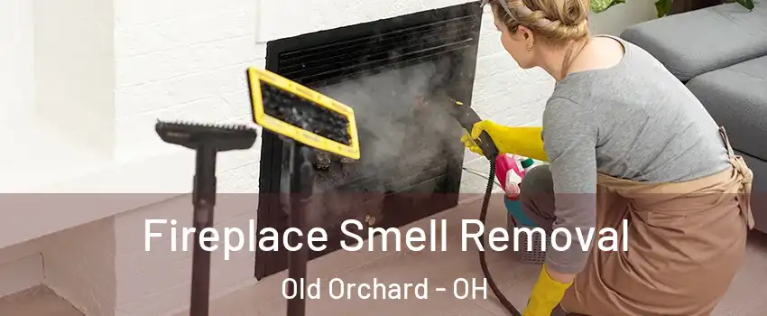 Fireplace Smell Removal Old Orchard - OH