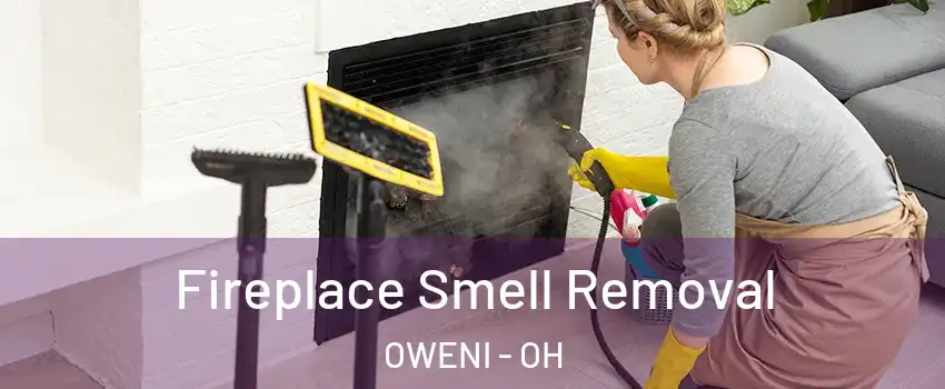 Fireplace Smell Removal OWENI - OH
