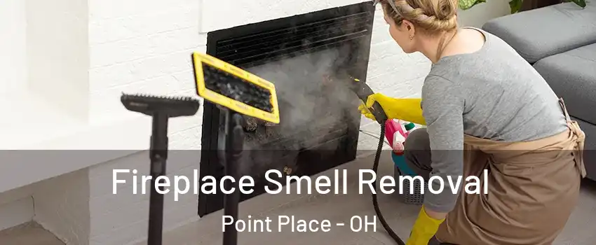 Fireplace Smell Removal Point Place - OH