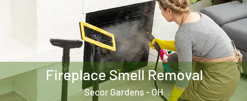 Fireplace Smell Removal Secor Gardens - OH