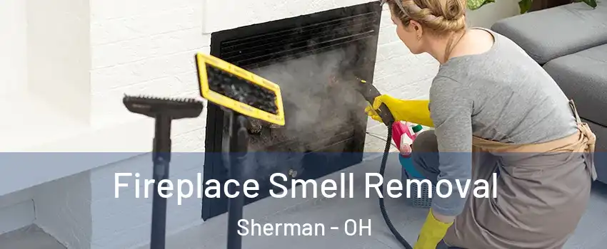 Fireplace Smell Removal Sherman - OH