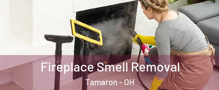 Fireplace Smell Removal Tamaron - OH