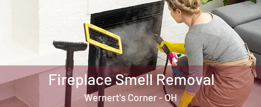 Fireplace Smell Removal Wernert's Corner - OH