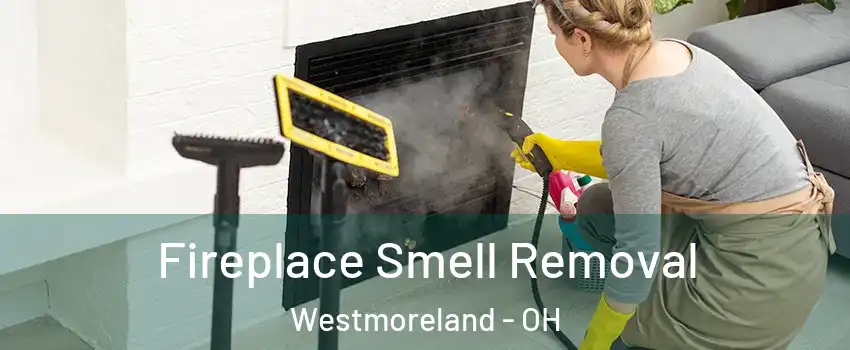 Fireplace Smell Removal Westmoreland - OH