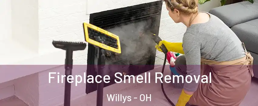 Fireplace Smell Removal Willys - OH