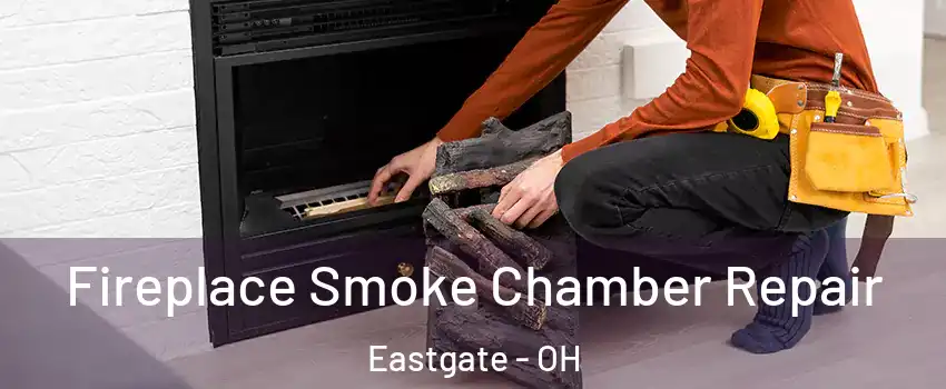 Fireplace Smoke Chamber Repair Eastgate - OH