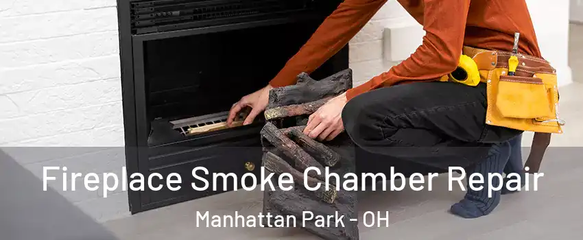 Fireplace Smoke Chamber Repair Manhattan Park - OH