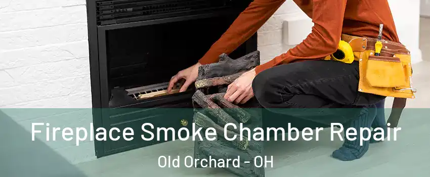 Fireplace Smoke Chamber Repair Old Orchard - OH