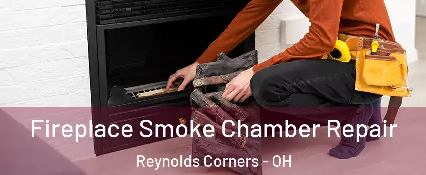 Fireplace Smoke Chamber Repair Reynolds Corners - OH