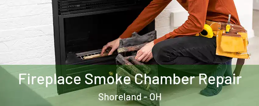 Fireplace Smoke Chamber Repair Shoreland - OH
