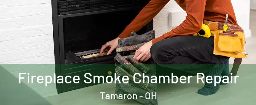 Fireplace Smoke Chamber Repair Tamaron - OH