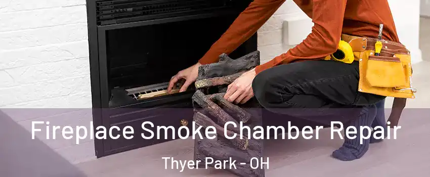 Fireplace Smoke Chamber Repair Thyer Park - OH