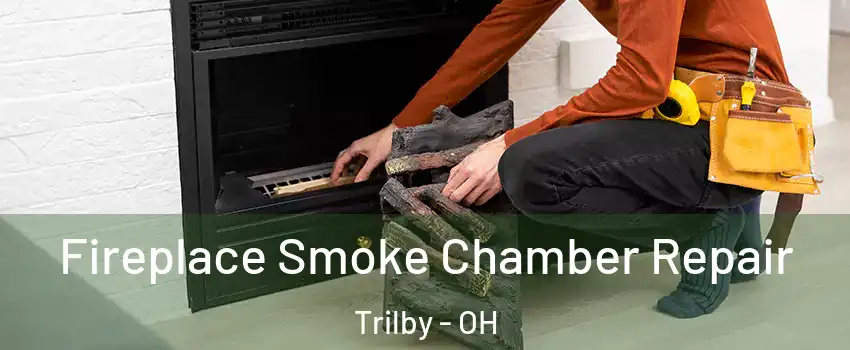 Fireplace Smoke Chamber Repair Trilby - OH