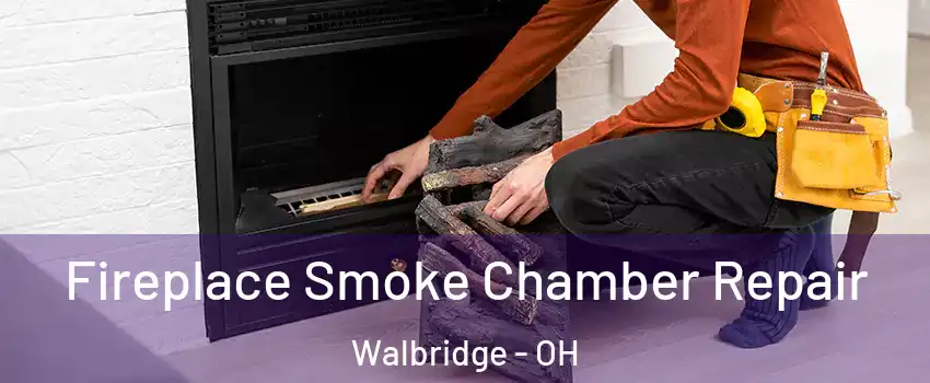 Fireplace Smoke Chamber Repair Walbridge - OH