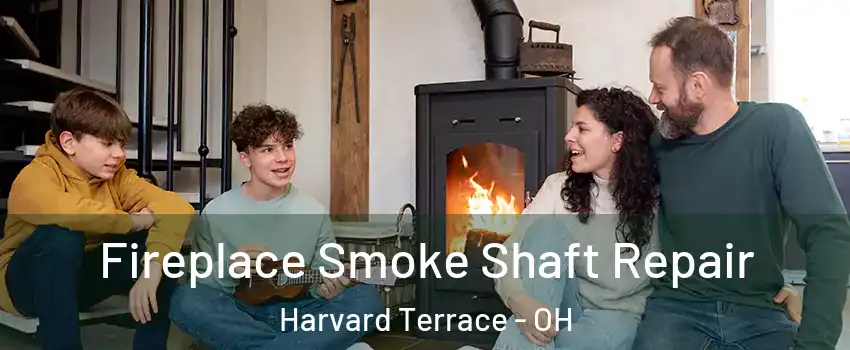Fireplace Smoke Shaft Repair Harvard Terrace - OH