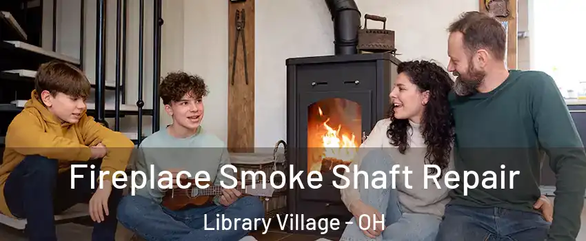 Fireplace Smoke Shaft Repair Library Village - OH