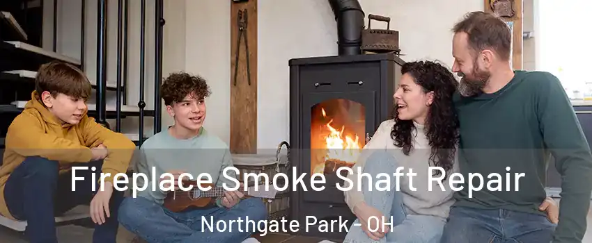 Fireplace Smoke Shaft Repair Northgate Park - OH