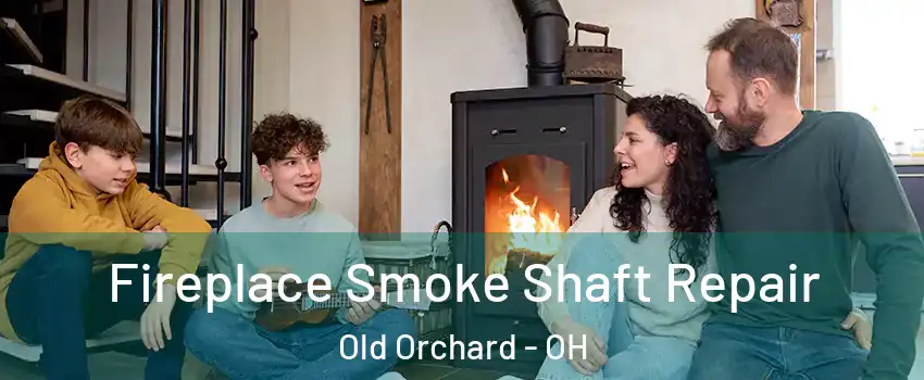 Fireplace Smoke Shaft Repair Old Orchard - OH