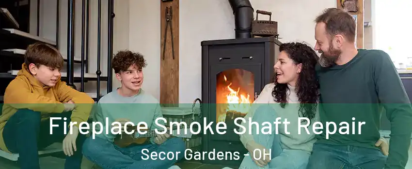 Fireplace Smoke Shaft Repair Secor Gardens - OH