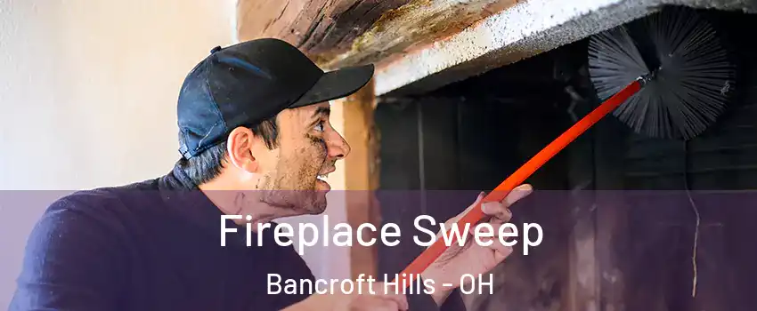 Fireplace Sweep Bancroft Hills - OH