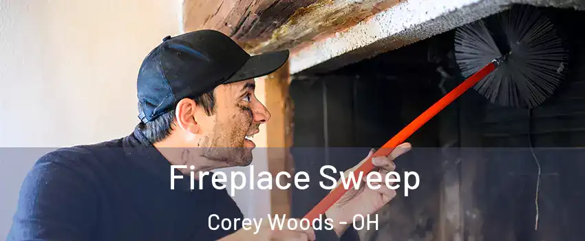 Fireplace Sweep Corey Woods - OH