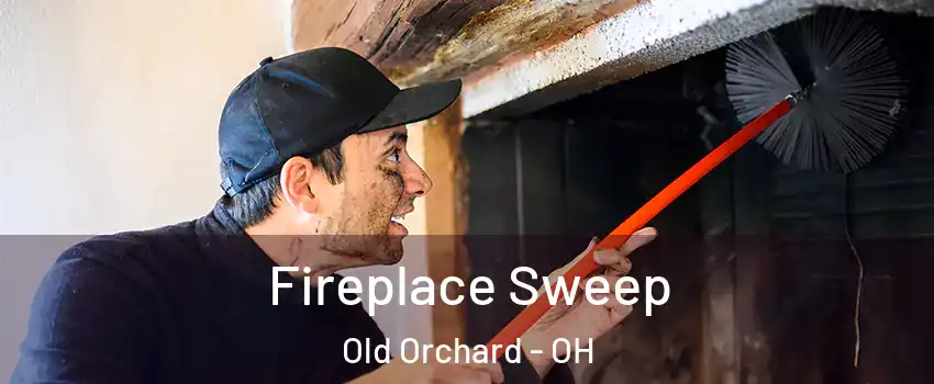 Fireplace Sweep Old Orchard - OH