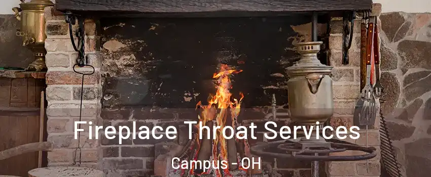 Fireplace Throat Services Campus - OH